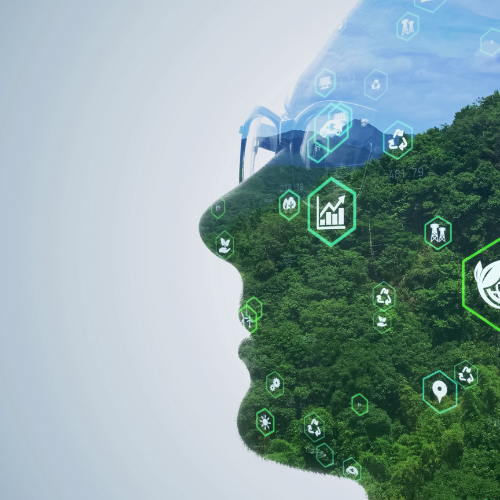 Sustainability Image
