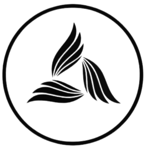 Kashmir Angel Network logo